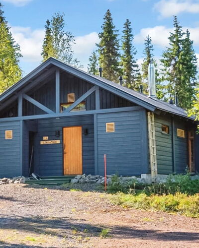 Sinikuono