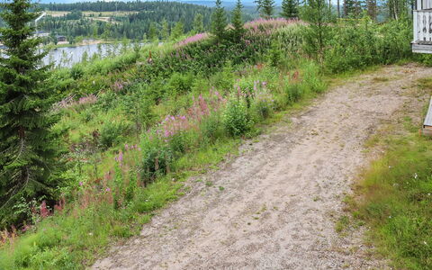 Iso Kiiruna: Træ, Sommerhus, Bjælkehytte, Skov, Skur, Garden Bygninger, Lærk, Woodland, Bejdse