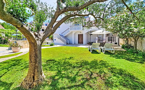 Tone: Have, Lawn, Skygge, Estate, Landscaping, Gård, Hacienda, Mansion, Design, Villa