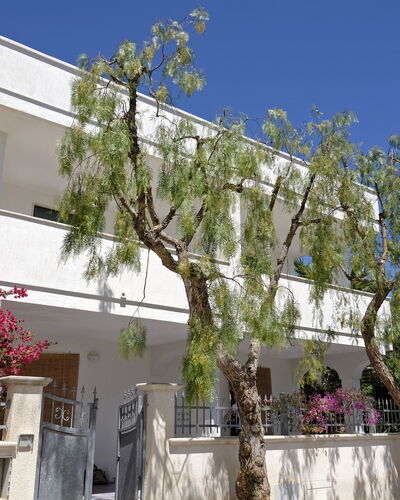 Villa Marlene