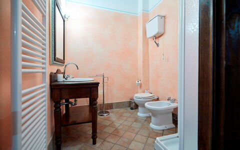 Agriturismo Il Molino Di Uncinano: Brun, Sanitærarmatur, Tap, Håndvask, Ejendom, Badeværelsesvask, Toiletbræt, Badeværelse, Spejl, Toilet