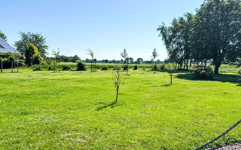 Esens 165: Himmel, Græs, Grøn, Træ, Naturligt Miljø, Græs-, Almindeligt, Land Lot, Lawn, Pasture