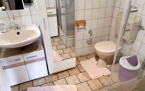 Esens 165: Brun, Sanitærarmatur, Tap, Håndvask, Badeværelsesvask, Purple, Spejl, Produkt, Toiletbræt, Badeværelse