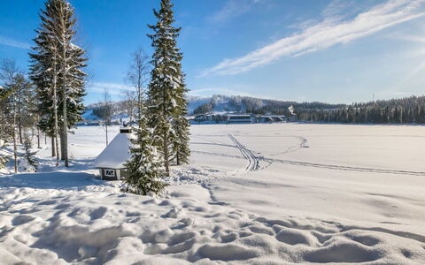 Aurinko-Saaga 4 Paritalo: Møbel, Stol, Udendørs Møbler, Bord, Træ, Udendørs Bord, Køkken & Spisebord, Skygge, Have, Paraply