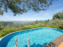 The pool