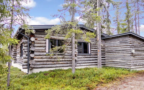 Rukalehto: Træ, Træ, Sommerhus, Landskab, Tag, Bjælkehytte, Skov, Lærk, Woodland