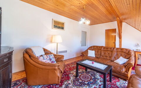 Sudoměřice: Loft, Værelse, Møbel, Hjem, Stue, Hårdttræ, Couch, Bejdse, Trægulve