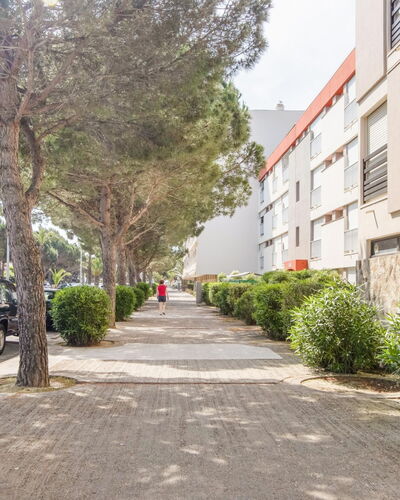 Saint Cyprien 580