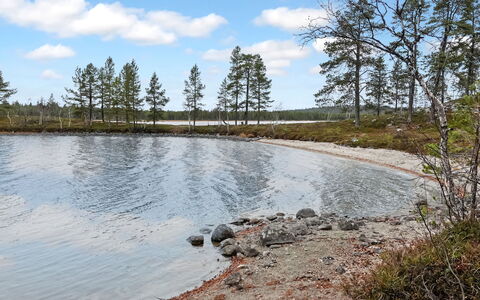 Nilimella: Træ, Sommerhus, Bjælkehytte, Skov, Skur, Garden Bygninger, Lærk, Woodland, Bejdse