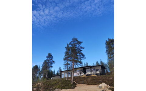 Villa Kallas: Lyd, Bugt, Pine Family