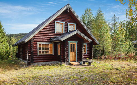 Lampitaival 5: Træ, Sommerhus, Bjælkehytte, Skov, Skur, Garden Bygninger, Lærk, Woodland, Bejdse