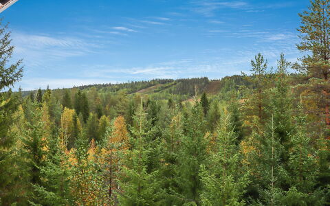 Lampitaival 5: Træ, Sommerhus, Bjælkehytte, Skov, Skur, Garden Bygninger, Lærk, Woodland, Bejdse