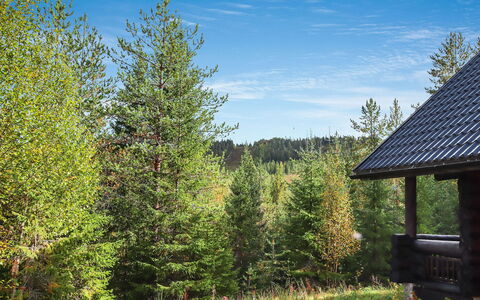 Lampitaival 5: Træ, Sommerhus, Bjælkehytte, Skov, Skur, Garden Bygninger, Lærk, Woodland, Bejdse