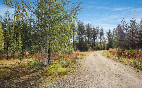 Lampitaival 5: Træ, Sommerhus, Bjælkehytte, Skov, Skur, Garden Bygninger, Lærk, Woodland, Bejdse