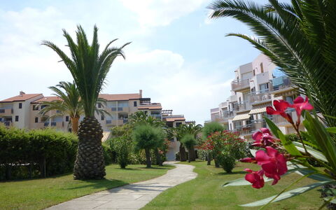 Saint Cyprien 660: Himmel, Plante, Sky, Ejendom, Bygning, Vindue, Blomst, Hus, Træ, Terrestrisk Plant