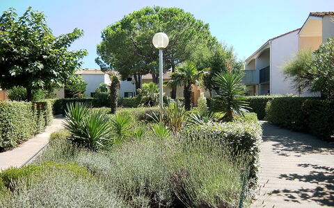 Saint Cyprien 700: Plante, Himmel, Bygning, Plantesamfund, Natur, Vindue, Træ, Gadebelysning, Naturlige Landskab, Hus