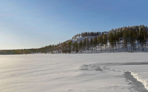 Hallantytär A1 Paritalo: Møbel, Stol, Udendørs Møbler, Bord, Træ, Udendørs Bord, Køkken & Spisebord, Skygge, Have, Paraply