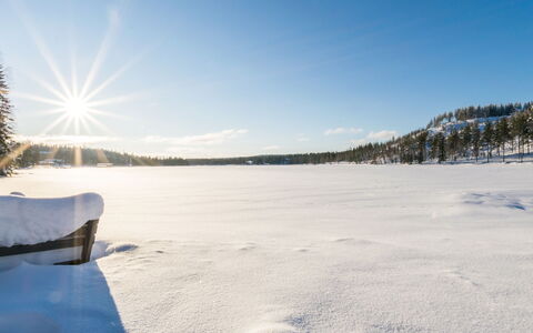 Hallantytär B4 Paritalo: Møbel, Stol, Udendørs Møbler, Bord, Træ, Udendørs Bord, Køkken & Spisebord, Skygge, Have, Paraply