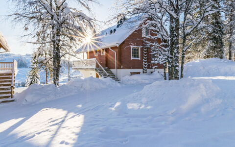 Alppikylä 1A: Træ, Gulvbelægning, Etage, Møbel, Trægulve, Indretning, Køjeseng, Værelse, Bejdse, Hårdttræ