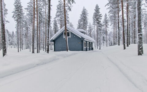 Ilves: Møbel, Stol, Udendørs Møbler, Bord, Træ, Udendørs Bord, Køkken & Spisebord, Skygge, Have, Paraply