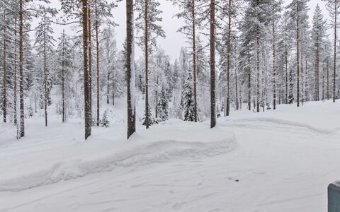 Ilves: Møbel, Stol, Udendørs Møbler, Bord, Træ, Udendørs Bord, Køkken & Spisebord, Skygge, Have, Paraply