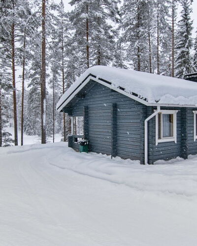 Lohiukko