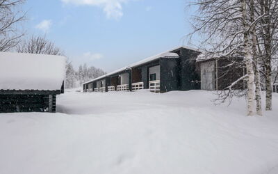 Skivillas Paljakka 6. (2Mh)