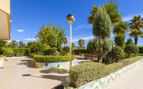 Cala Blanca i: Have, Skygge, Landscaping, Eco Hotel, Hæk, Udvej, Hacienda, Villa, Botanisk Have