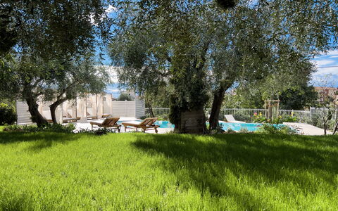 Villa Mimosa - Diano Marina: Plante, Plantesamfund, Træ, Naturlige Landskab, Skygge, Land Lot, Sky, Græs, Græs-, Fritid