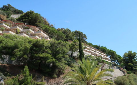 Ventimiglia 633: Himmel, Bygning, Plante, Plantesamfund, Træ, Vegetationen, Arecales, Hus, Naturlige Landskab, Kvarter