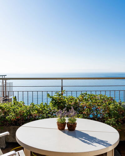 Monte Carlo View 633.4