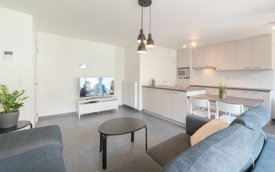 Bredene 733: Plante, Bord, Møbel, Bygning, Couch, Stueplante, Television, Komfort, Hus, Træ