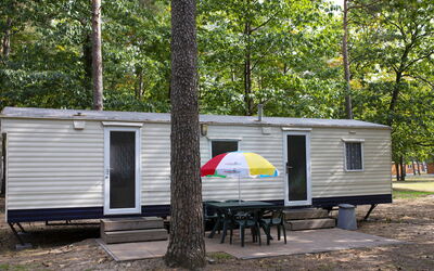 Oostappen Vakantiepark Arnhem 150.8: Plantesamfund, Blad, Træ, Skygge, Plante, Telt, Camping, Udendørs Bench, Græs, Fritid