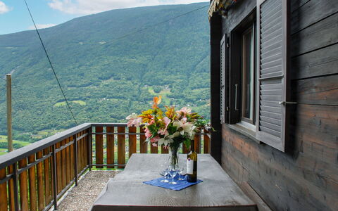 Pina: Blomst, Himmel, Bord, Sky, Ejendom, Bordservice, Plante, Blomsterkrukke, Azure, Bygning