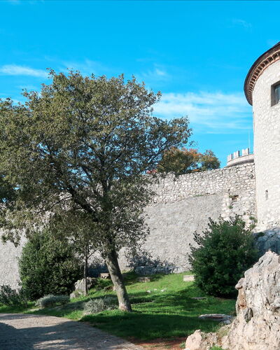 Rijeka 313