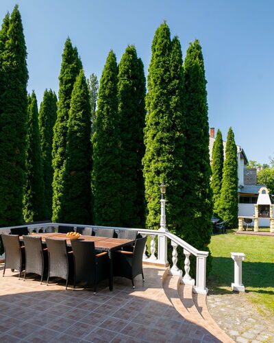Big Thuja