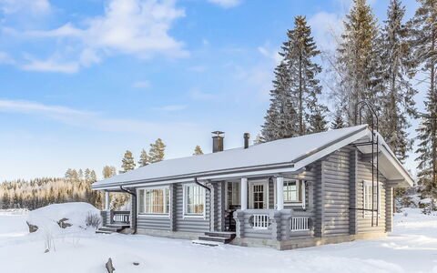 Eerola: Sommerhus, Hjem, Vinter, Sne, Fryser, Sidespor, Bjælkehytte, Lærk, Pine Family