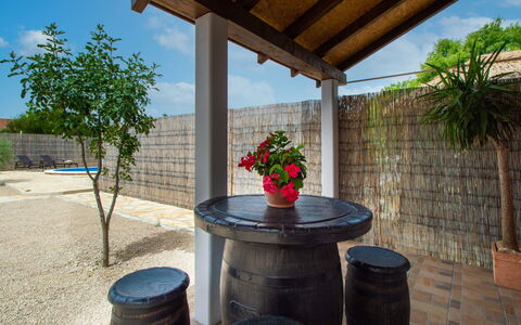 Nina: Blomst, Plante, Himmel, Blomsterkrukke, Sky, Stueplante, Bygning, Barrel, Træ, Skygge