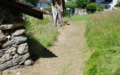 Baita Monti di Piazzogna: Plante, Ejendom, Plantesamfund, Træ, Land Lot, Græs, Biome, Naturlige Landskab, Hus, Bedrock
