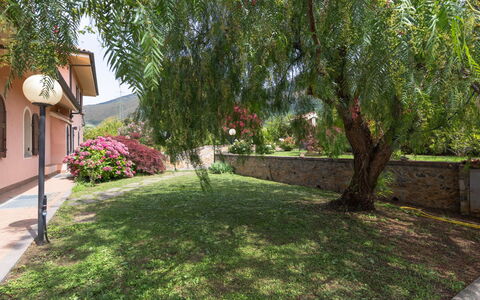 Villa Trabbia: Himmel, Sky, Mad, Plante, Bordservice, Bord, Vindue, Bjerg, Frugt, Træ