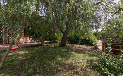Villa Trabbia: Himmel, Sky, Mad, Plante, Bordservice, Bord, Vindue, Bjerg, Frugt, Træ