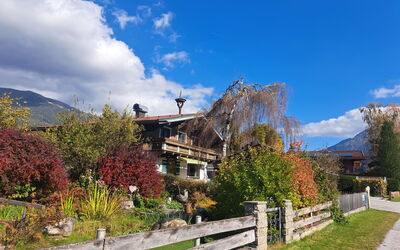 Wildkogel