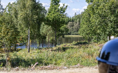 Skogstorp