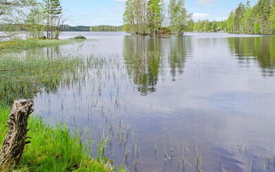 Lietukka