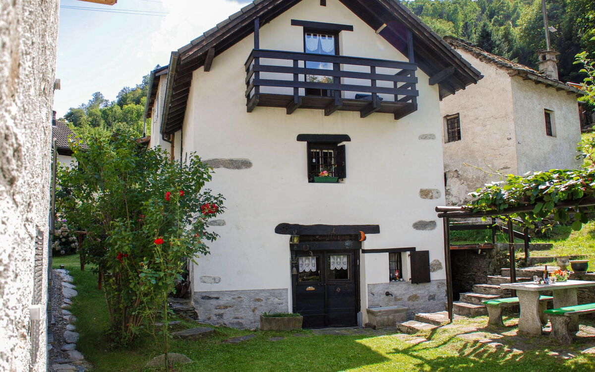 Lucertola 1150