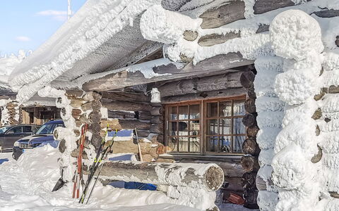 Vilkkuna 20 a: Træ, Sommerhus, Bjælkehytte, Skov, Skur, Garden Bygninger, Lærk, Woodland, Bejdse
