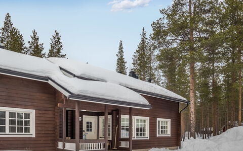 Välitie 4 F 14: Træ, Sommerhus, Bjælkehytte, Skov, Skur, Garden Bygninger, Lærk, Woodland, Bejdse