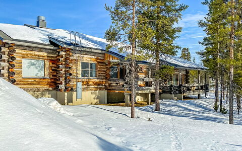 Kairapolanne B: Træ, Sommerhus, Bjælkehytte, Skov, Skur, Garden Bygninger, Lærk, Woodland, Bejdse