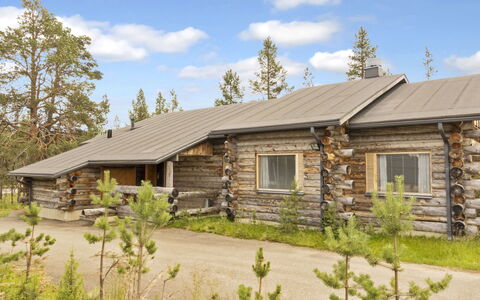 Kairapolanne B: Træ, Sommerhus, Bjælkehytte, Skov, Skur, Garden Bygninger, Lærk, Woodland, Bejdse