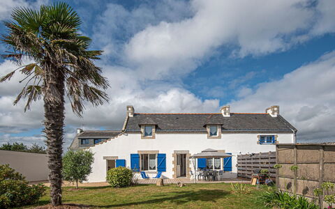 Les Palmiers: Sky, Himmel, Plante, Bygning, Vindue, Træ, Hus, Arecales, Landskab, Sommerhus